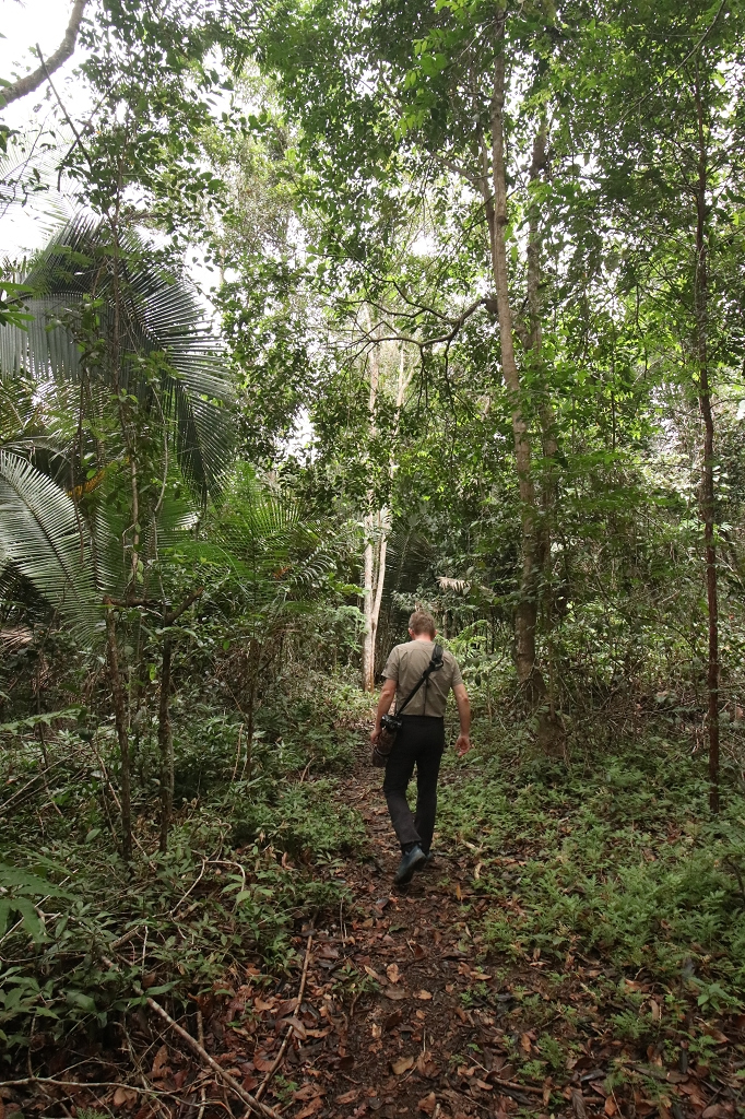 Eco Trilha (Öko-Pfad) an der Amazon Turtle Lodge
