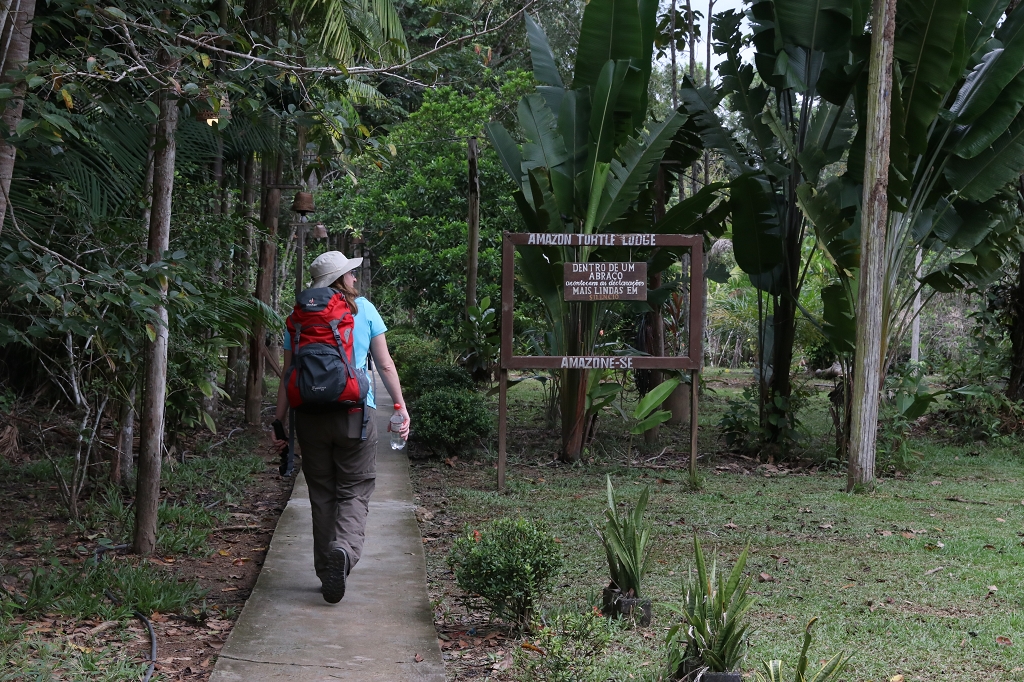 Bya Bye Amazonas