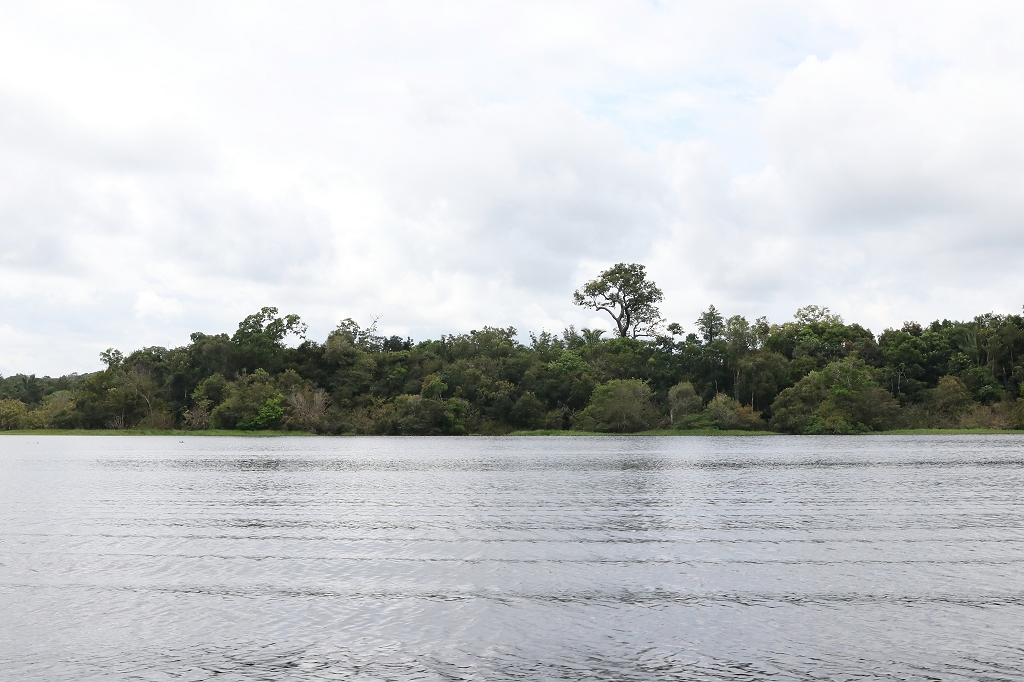 Das Abenteuer Amazonas-Regenwald endete nach 4 Tagen leider schon wieder