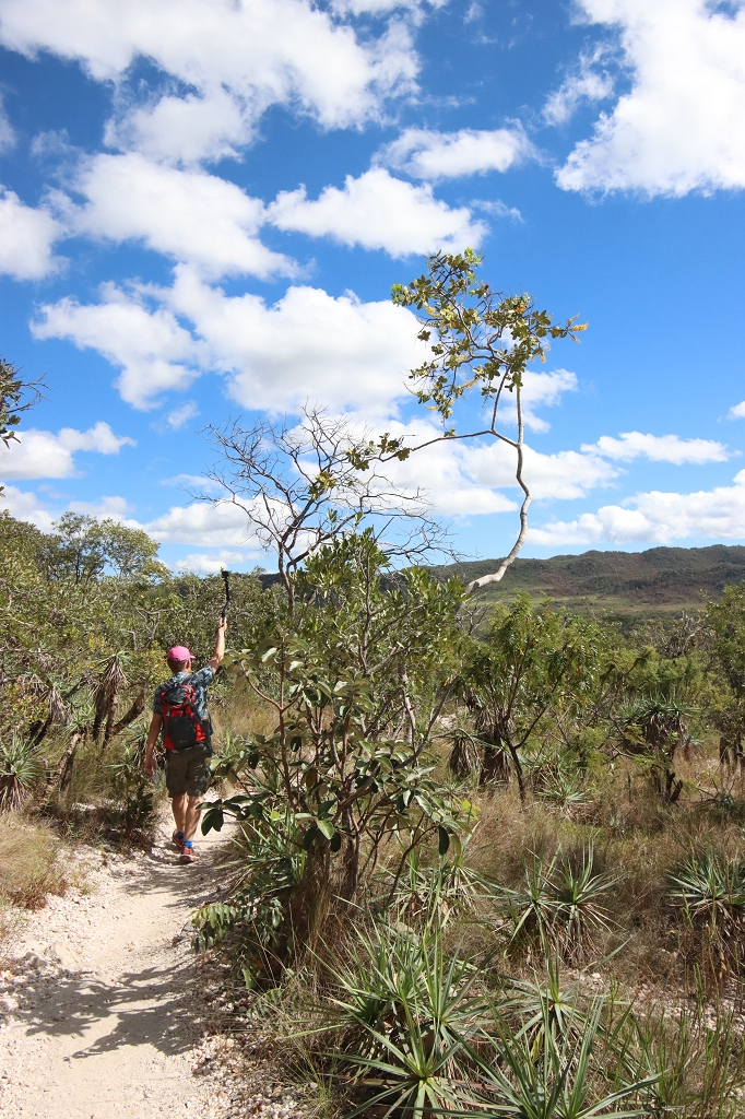 Trilha Amarela (Yellow Trail) im Parque Nacional da Chapada dos Veadeiros