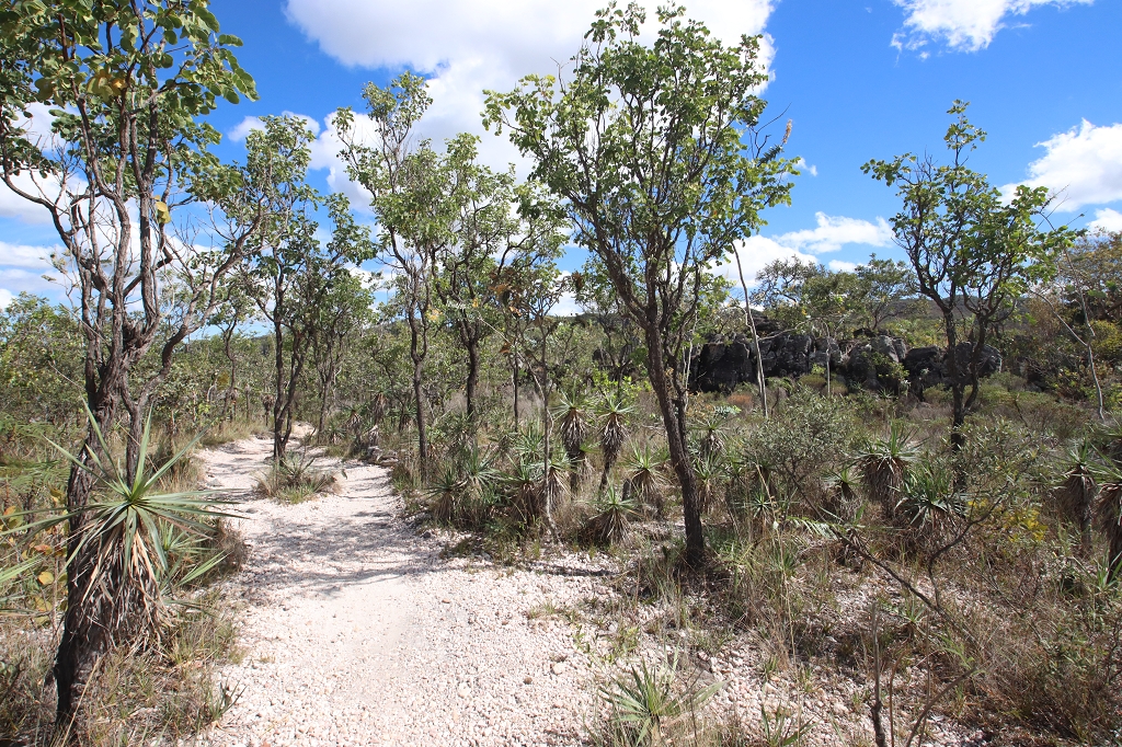 Trilha Amarela (Yellow Trail) im Parque Nacional da Chapada dos Veadeiros