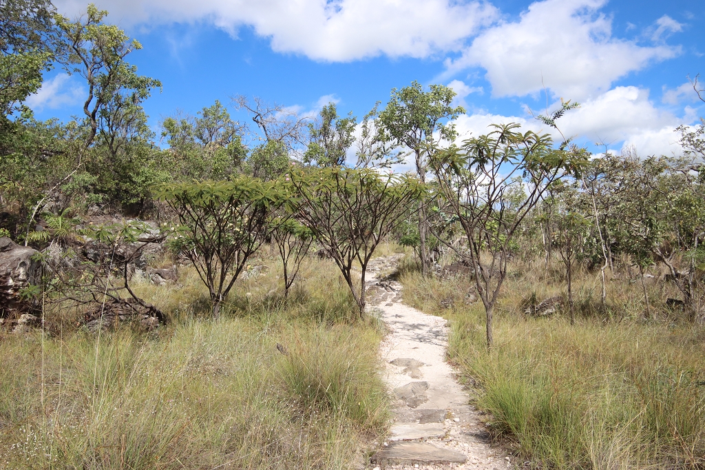 Trilha Amarela (Yellow Trail) im Parque Nacional da Chapada dos Veadeiros