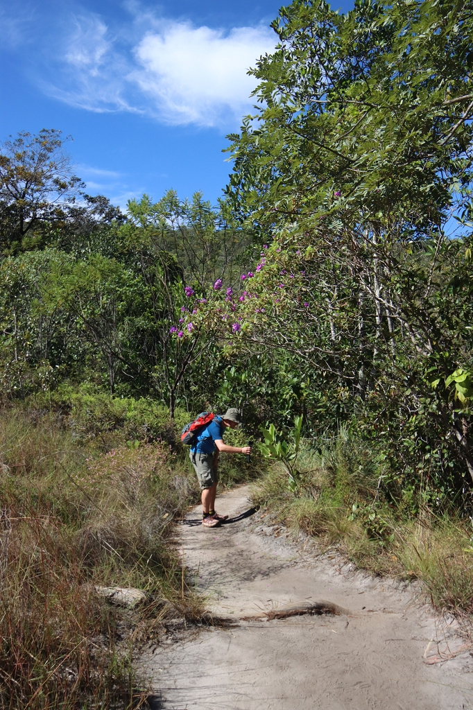 Trilha dos Cânions e Cariocas (Red Trail) im Nationalpark Chapada dos Veadeiros