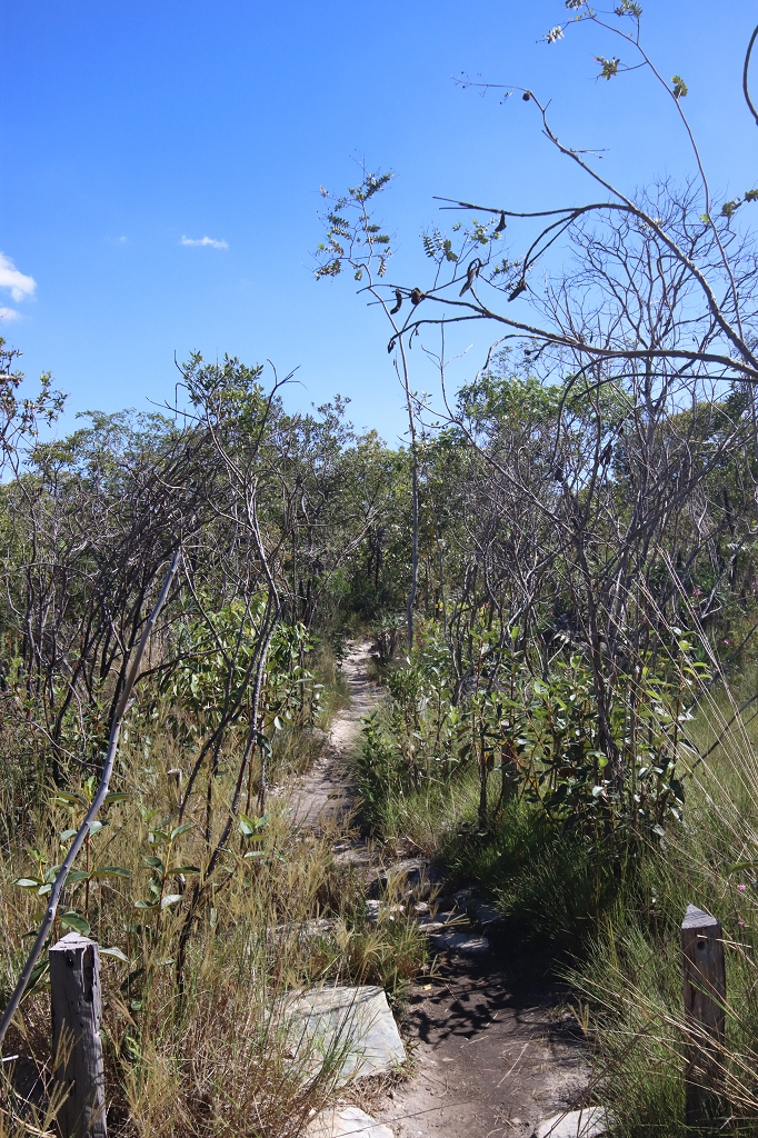 Trilha dos Cânions e Cariocas (Red Trail) im Nationalpark Chapada dos Veadeiros