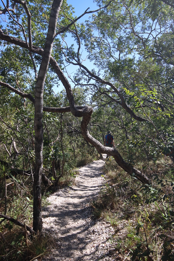 Trilha dos Cânions e Cariocas (Red Trail) im Nationalpark Chapada dos Veadeiros
