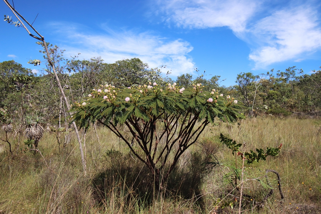 Trilha dos Cânions e Cariocas (Red Trail) im Nationalpark Chapada dos Veadeiros