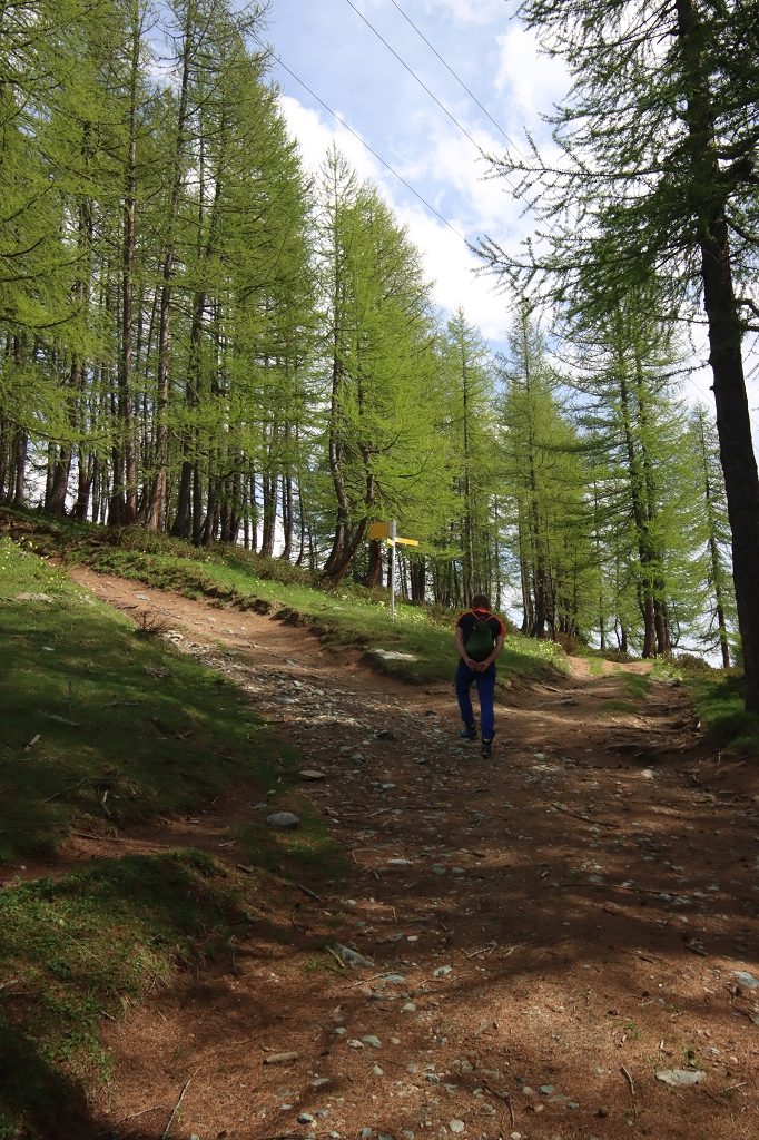 Wanderung vom Lago Blu zum Bec Pic Merlo (2.620 m.ü.M.)