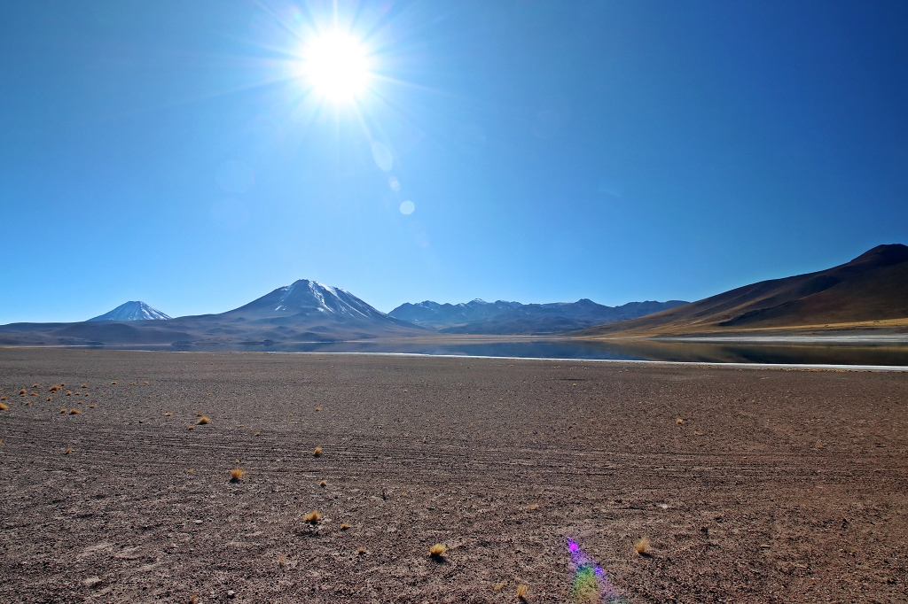 Laguna Miscanti in Chile