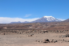Blick auf den Vulkan Láscar von der Ruta 23