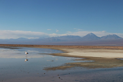 Spiegelung von Licancabur (Mitte) und den Cerro Juriques (rechts) in der Laguna Chaxa, Chile