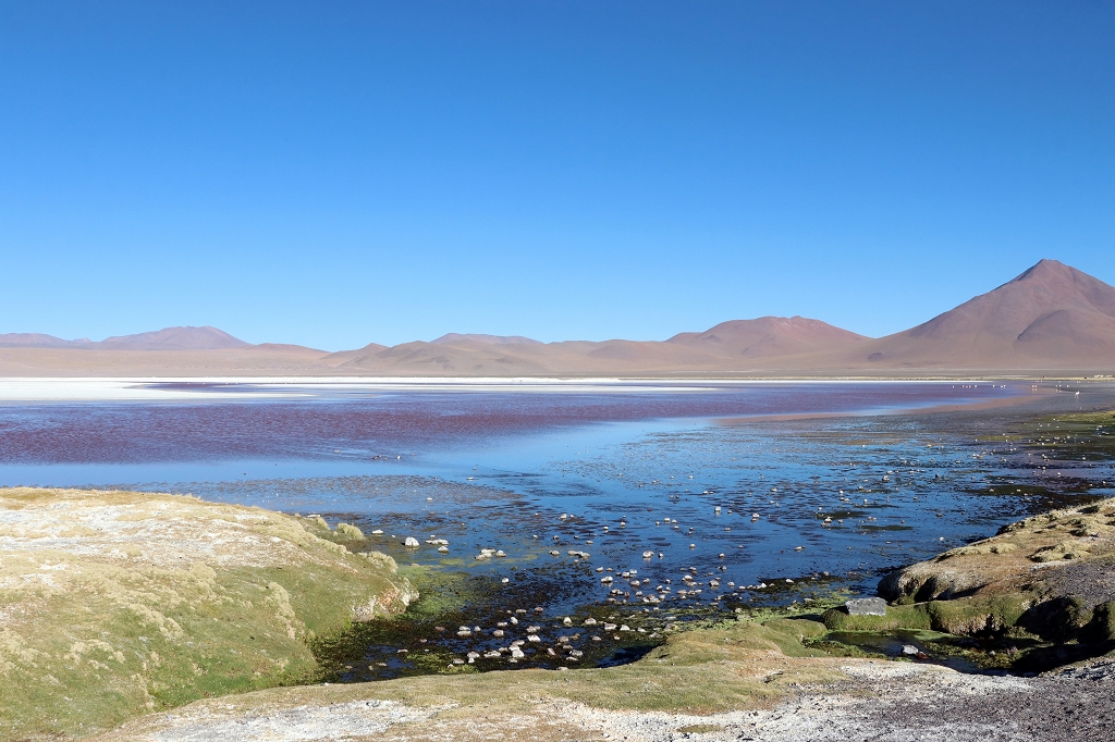 Laguna Colorado, Bolivien