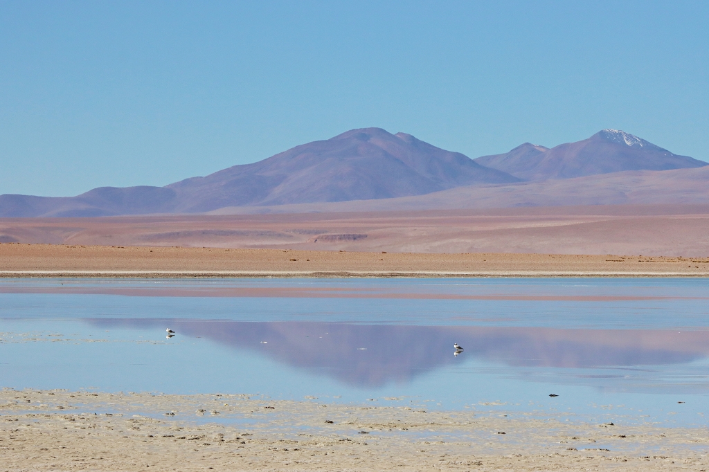 Laguna Saluda, Bolivien