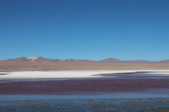 Laguna Colorado, Bolivien