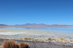 Laguna Saluda, Bolivien