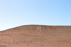 Gigante de Atacama