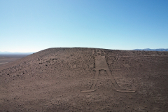 Gigante de Atacama