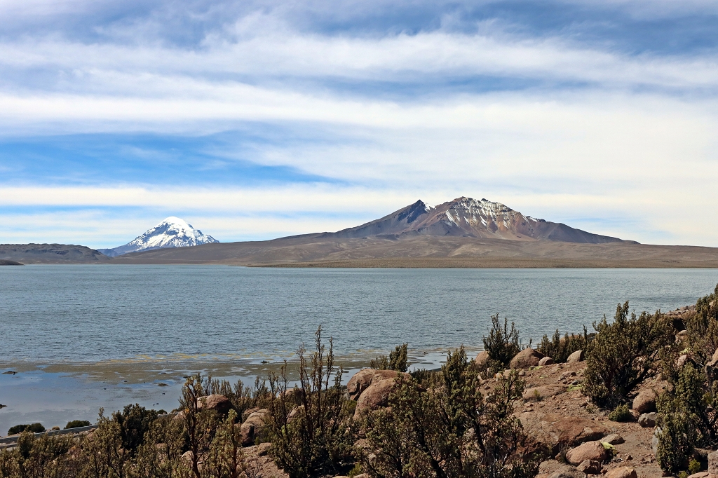 Blick auf den Lago Chungará