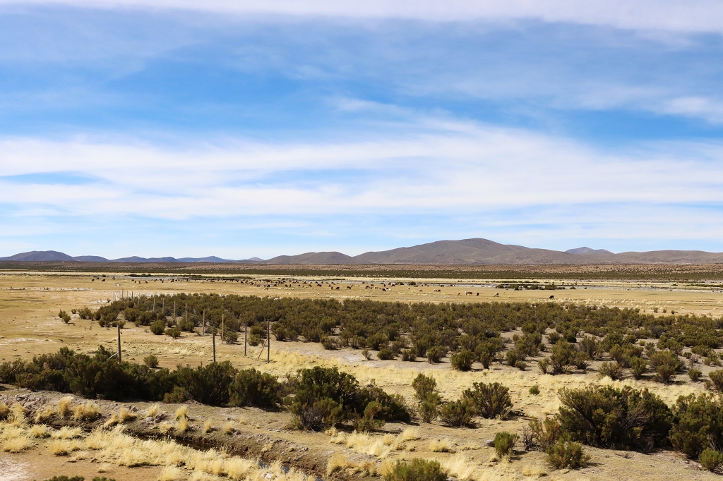 Unendliche Weite des Altiplano im Norden Chiles
