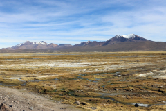 Feuchtgebiet Bofedal de Parinacota auf etwa 4.000 m Höhe