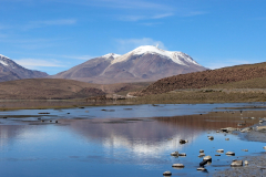 Einer der aktivsten Vulkane Chiles - der 6.071 Metern hohe Guallatiri