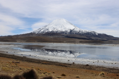Volcán Parinacota, Lago Chungará