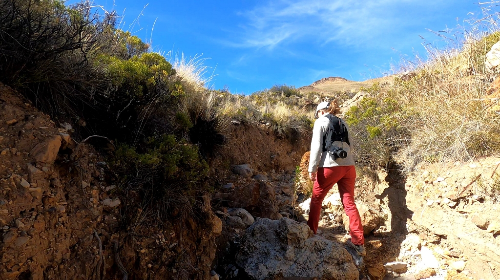 Querung einer tiefen Rinne auf dem Weg zum Cerro Milagro
