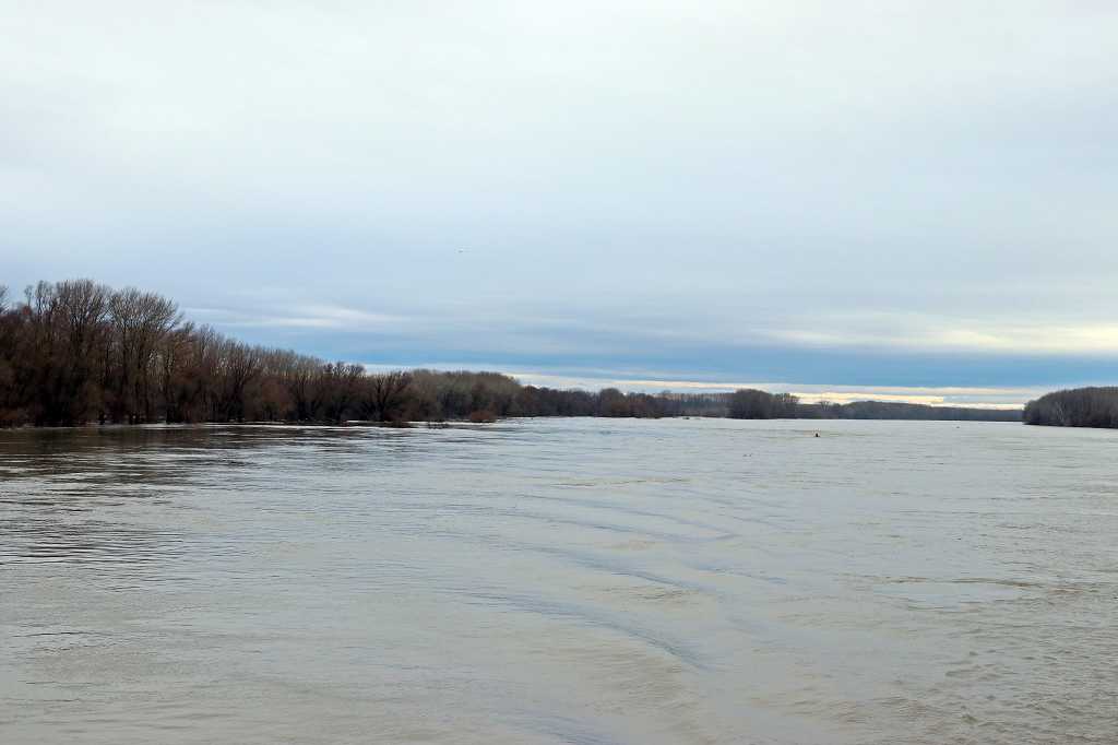Auf der schönen blauen Donau - naja heute eher grau