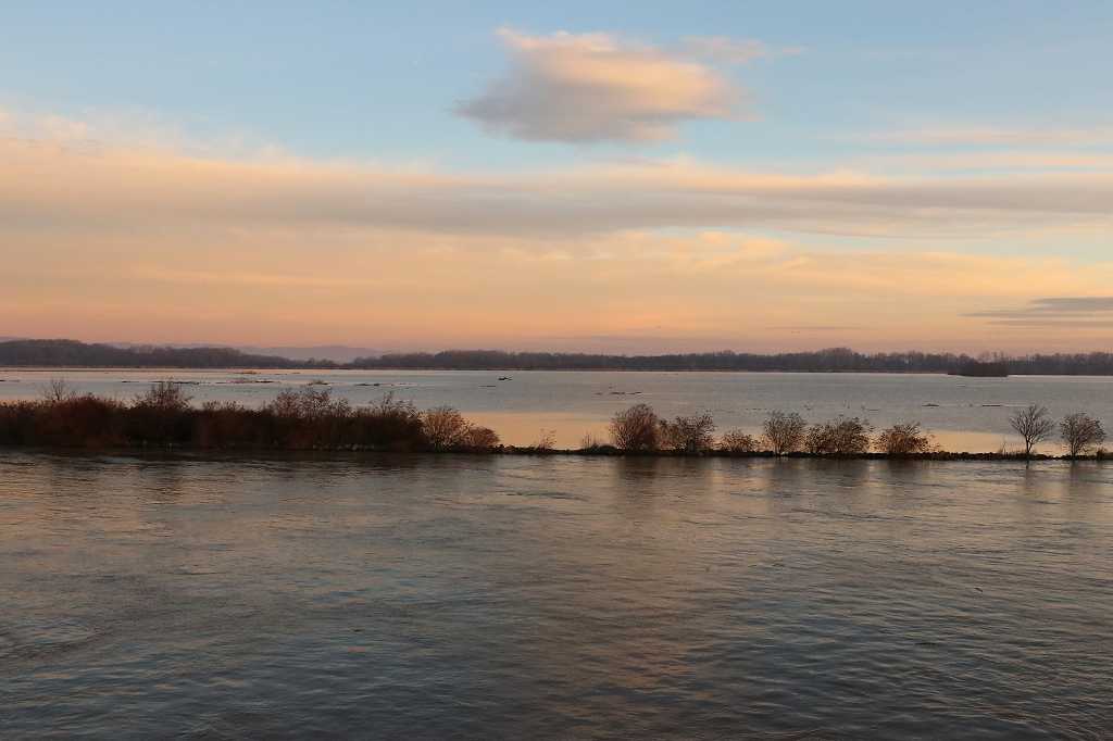 Überschwemmtes Donaudelta