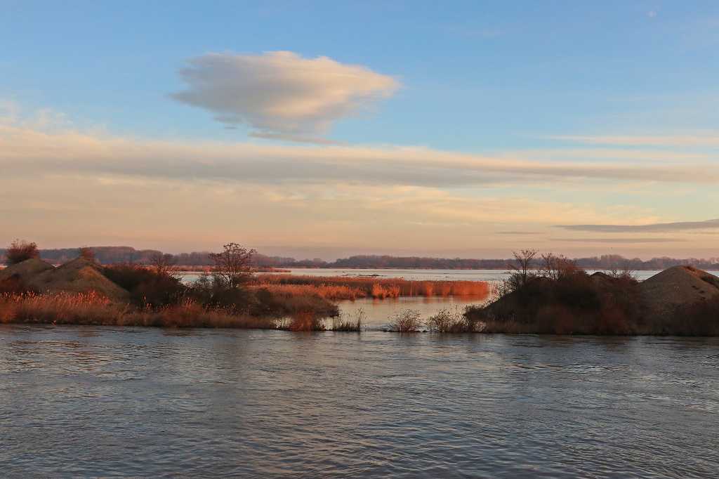 Überschwemmtes Donaudelta