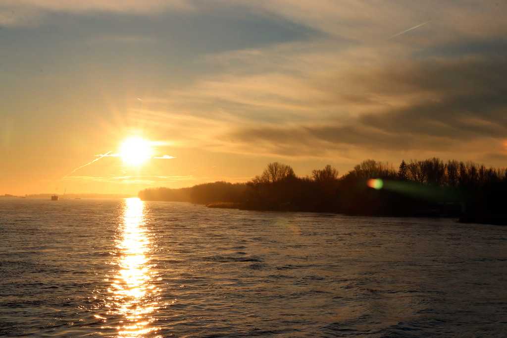 Sonnenaufgang über der Donau