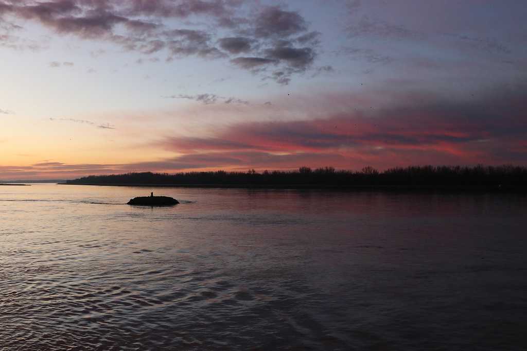 Sonnenaufgang auf der Donau