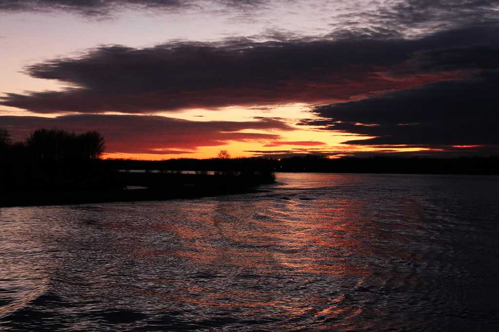 Morgenstimmung auf der Donau