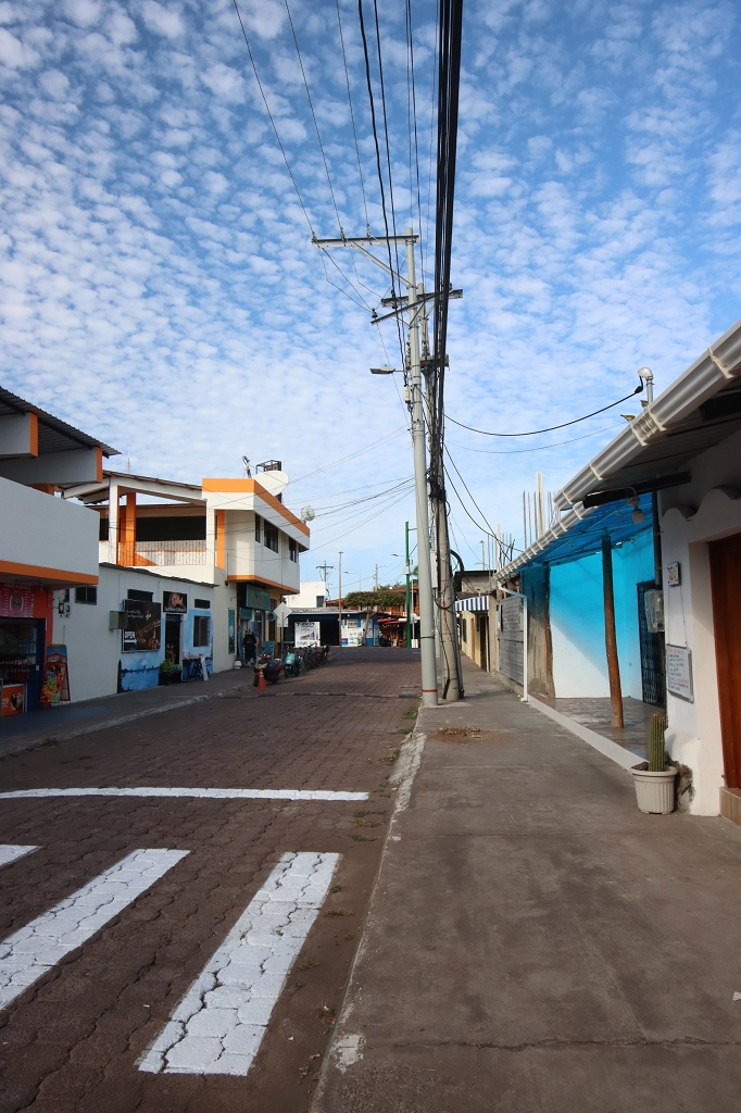 Spaziergang zum Hafen von Puerto Ayora