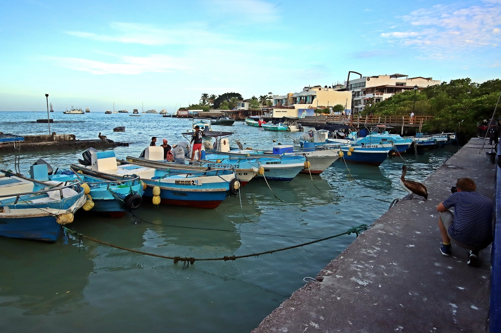 Kleiner Fischerhafen in Puerto Ayora