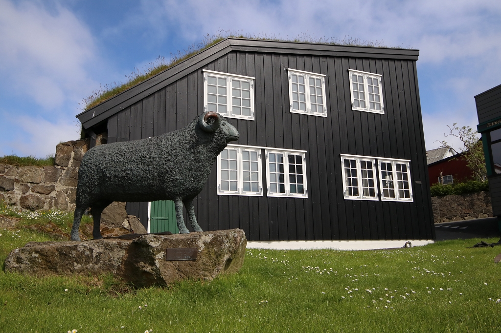 Schafbock in Tórshavn 
