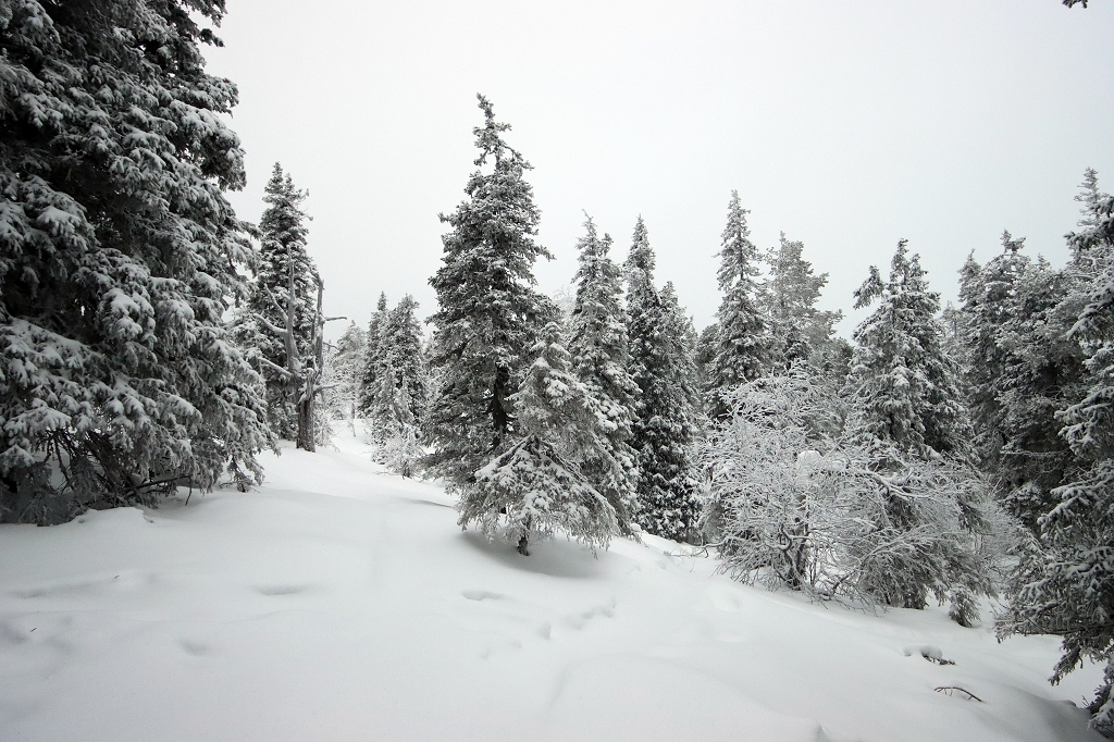 Schneeschuhwanderung auf den Konttainen