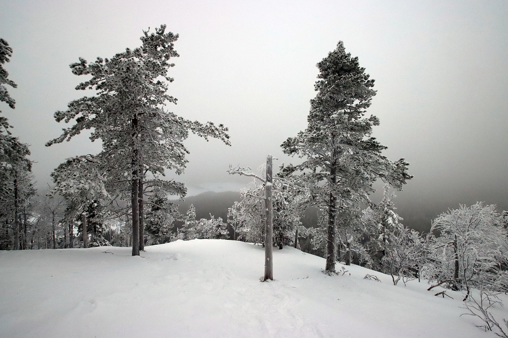 Schneeschuhwanderung auf den Konttainen
