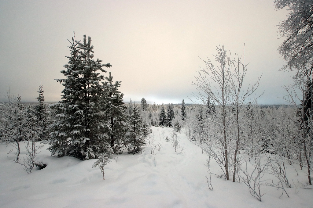 Schneeschuhwanderung auf den Konttainen