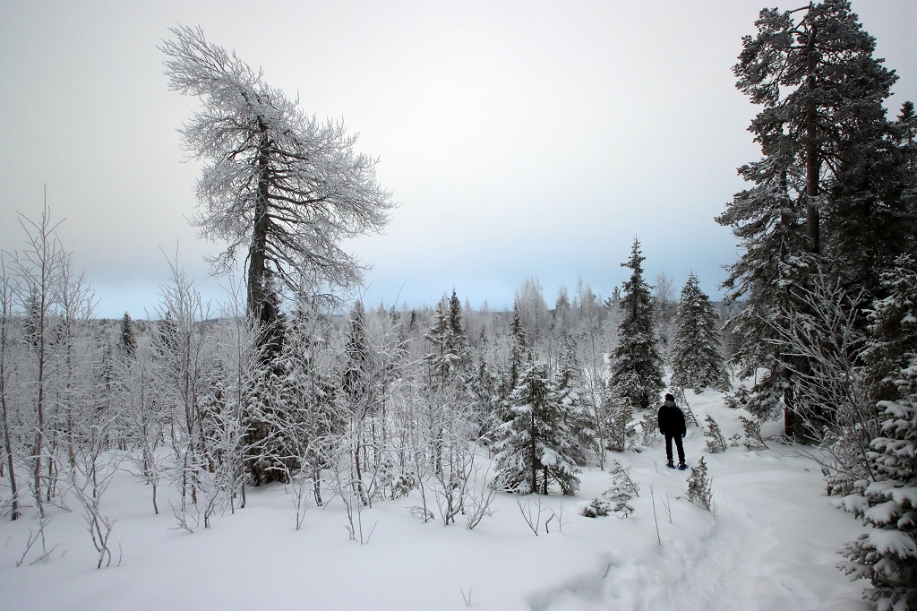 Schneeschuhwanderung auf den Konttainen