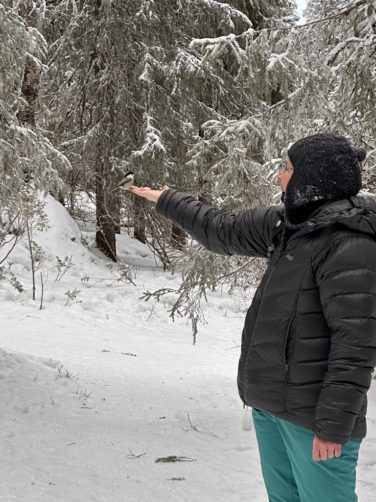Vögel füttern auf Finnisch