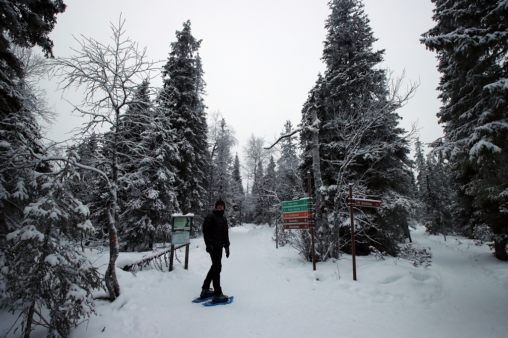 Schneeschuhwanderung im Riisitunturi National Park