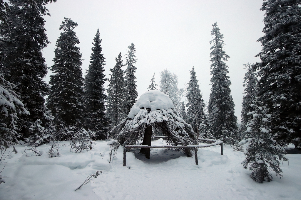 Schneeschuhwanderung im Riisitunturi National Park