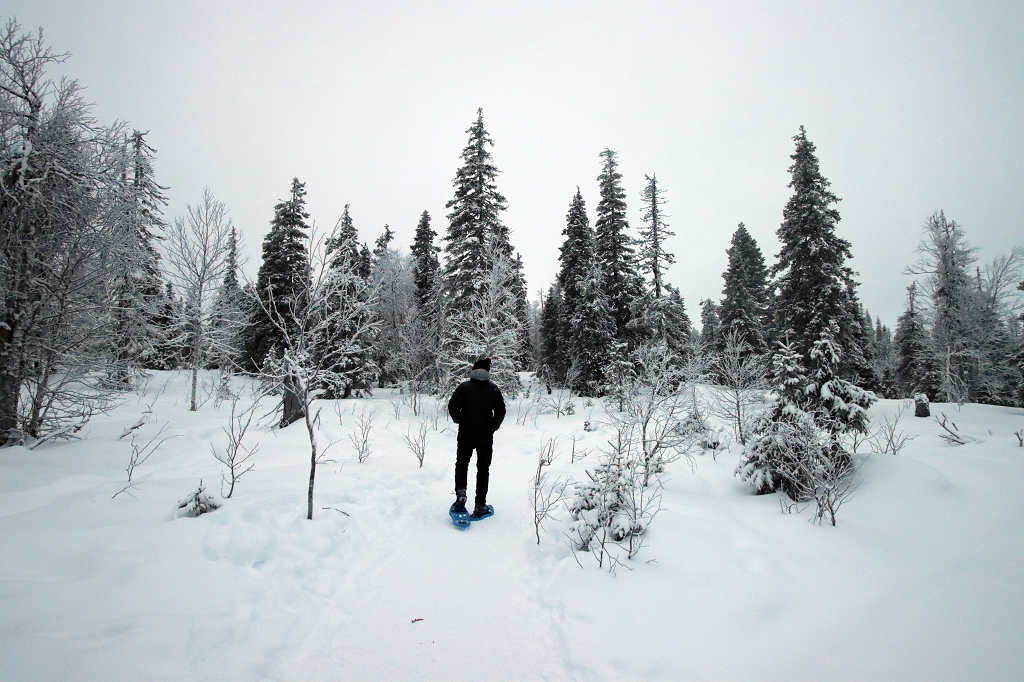 Schneeschuhwanderung im Riisitunturi National Park