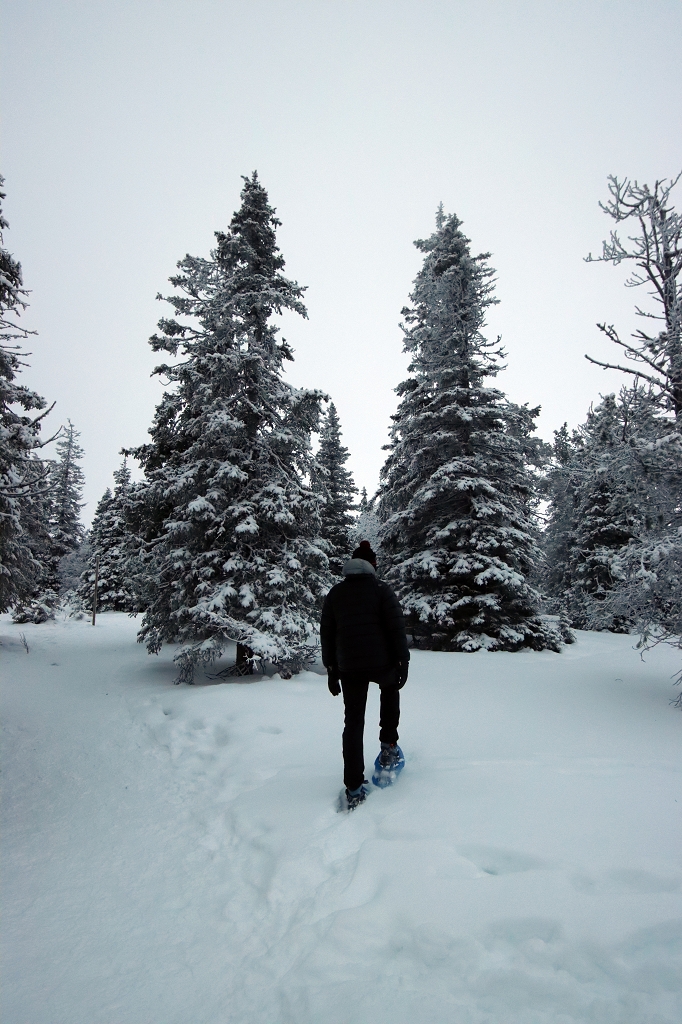 Schneeschuhwanderung im Riisitunturi National Park
