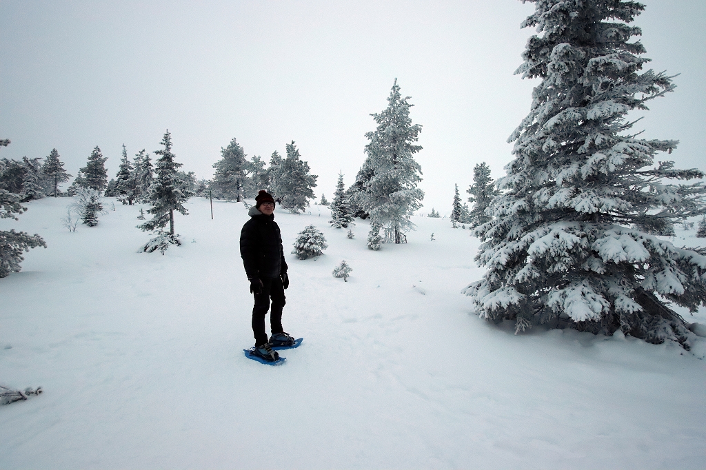 Schneeschuhwanderung im Riisitunturi National Park