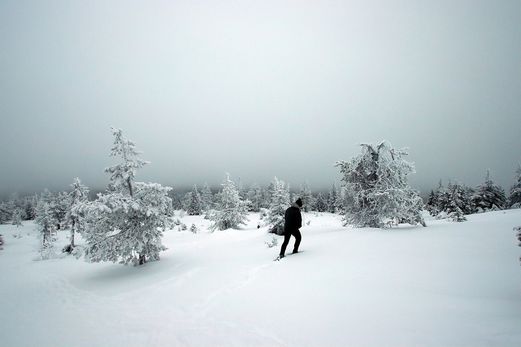 Schneeschuhwanderung im Riisitunturi National Park