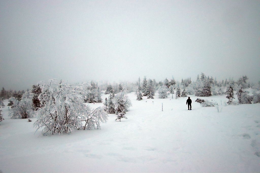 Schneeschuhwanderung im Riisitunturi National Park