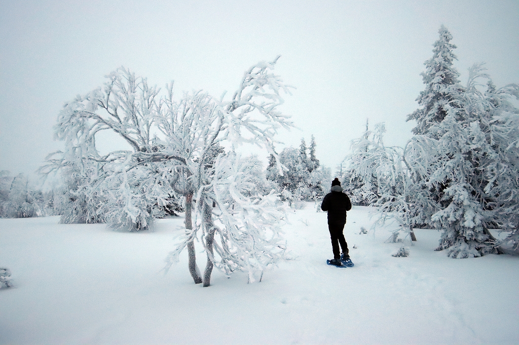 Schneeschuhwanderung im Riisitunturi National Park