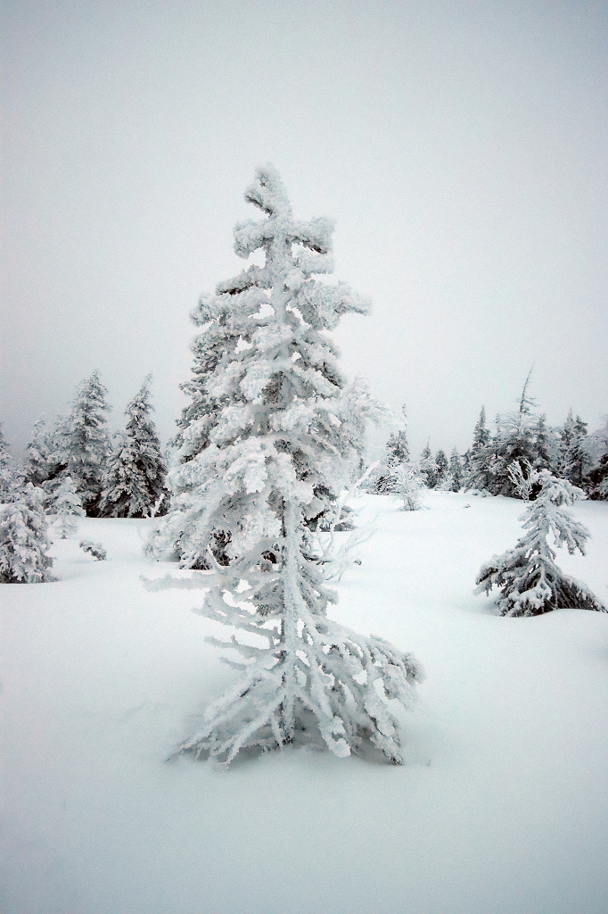 Schneeschuhwanderung im Riisitunturi National Park
