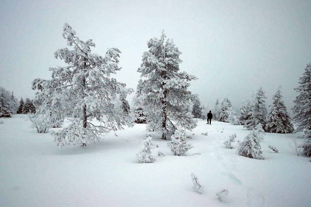 Schneeschuhwanderung im Riisitunturi National Park